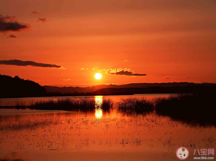 想念家鄉(xiāng)的心情句子感慨說(shuō)說(shuō) 想念家鄉(xiāng)的簡(jiǎn)短說(shuō)說(shuō)配圖 想念家鄉(xiāng)的心情句子感慨說(shuō)說(shuō) 想念家鄉(xiāng)的簡(jiǎn)短說(shuō)說(shuō)配圖