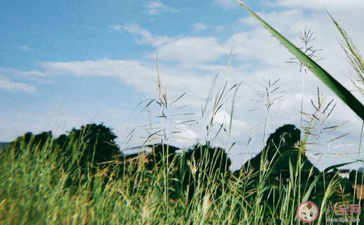 想念家鄉(xiāng)的心情句子感慨說(shuō)說(shuō) 想念家鄉(xiāng)的簡(jiǎn)短說(shuō)說(shuō)配圖 想念家鄉(xiāng)的心情句子感慨說(shuō)說(shuō) 想念家鄉(xiāng)的簡(jiǎn)短說(shuō)說(shuō)配圖