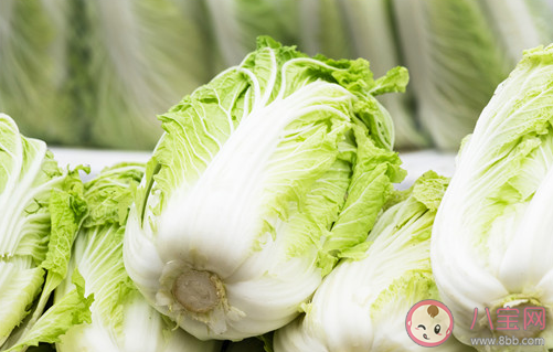 東北大娘雇車囤300斤白菜是怎么回事 300斤白菜能夠吃多久