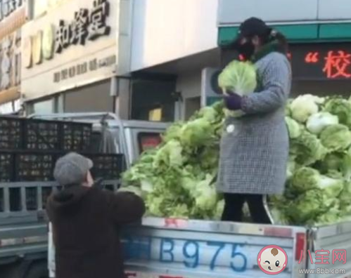 東北大娘雇車囤300斤白菜是怎么回事 300斤白菜能夠吃多久