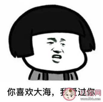 大海做錯了什么是什么梗 關于大海做錯了什么經典回答