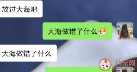大海做錯了什么是什么梗 關于大海做錯了什么經典回答