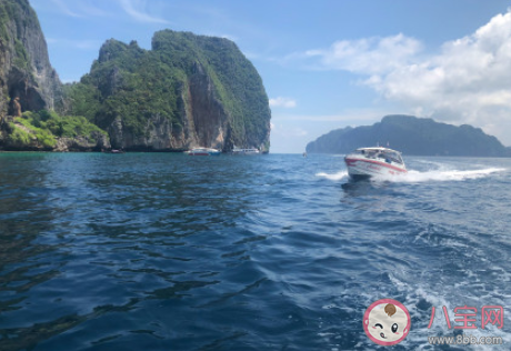 大海做錯了什么是什么梗 關于大海做錯了什么經典回答