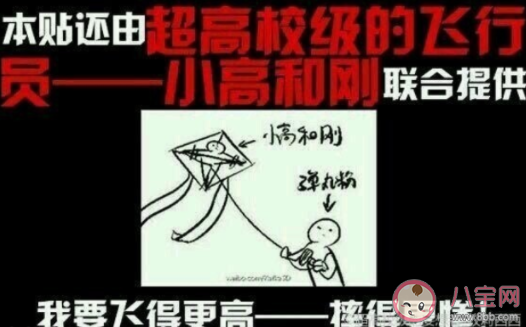 放飛小高是什么梗 放飛小高梗的出處是什么