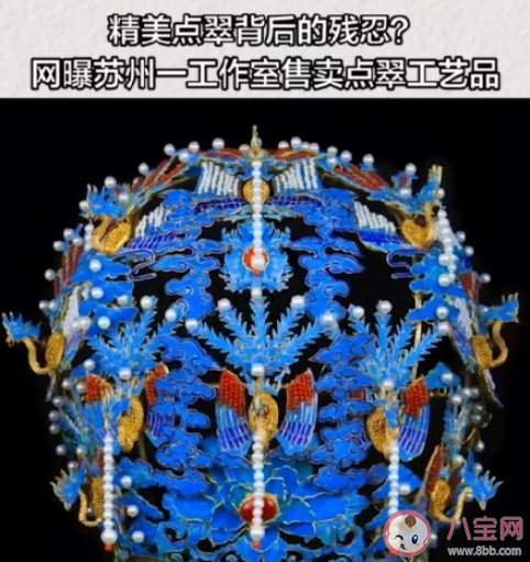 工藝品店被曝使用大量翠鳥羽毛是怎么回事 翠鳥是國家保護動物嗎