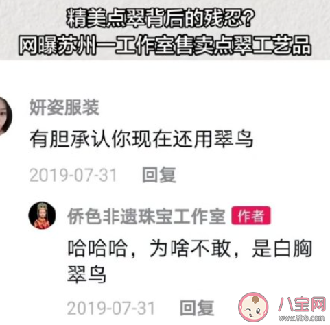 工藝品店被曝使用大量翠鳥羽毛是怎么回事 翠鳥是國家保護動物嗎
