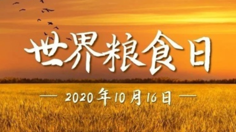 2020世界糧食日的主題是什么 歷年世界糧食日主題大全