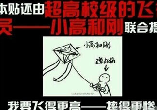 放飛小高是什么梗 放飛小高梗的出處是什么