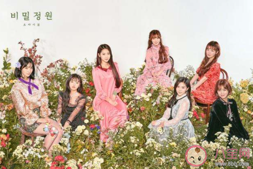 抖音dadadadadada韓國歌曲是什么歌 《Dolphin》完整版歌詞在線聽歌 抖音dadadadadada韓國歌曲是什么歌 《Dolphin》完整版歌詞在線聽歌