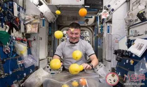 如果宇航員在太空中哭泣眼淚會怎樣 最新螞蟻莊園10月18日問題答案