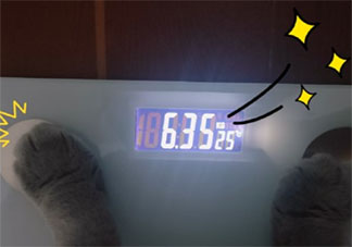 感慨自己又長胖了的朋友圈怎么發 發現自己又胖了的說說朋友圈