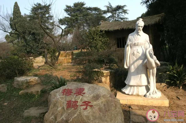 成語梅妻鶴子是形容什么 螞蟻莊園小課堂10月19日答案最新