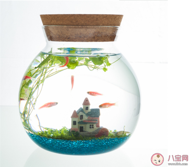 共情能力強(qiáng)的人為什么活的不快樂 共情能力強(qiáng)的利與弊