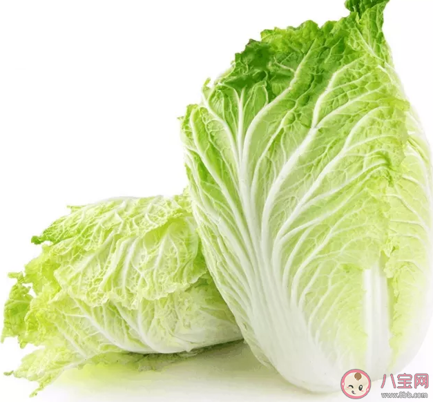 韓國1棵白菜79元是真的嗎 韓國白菜為什么那么貴 韓國1棵白菜79元是真的嗎 韓國白菜為什么那么貴