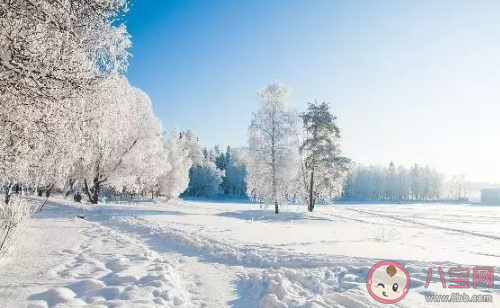 2020下雪了朋友圈文案 描繪雪景的經典句子