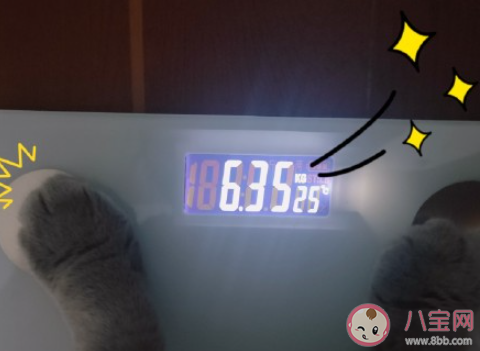 感慨自己又長胖了的朋友圈怎么發 發現自己又胖了的說說朋友圈