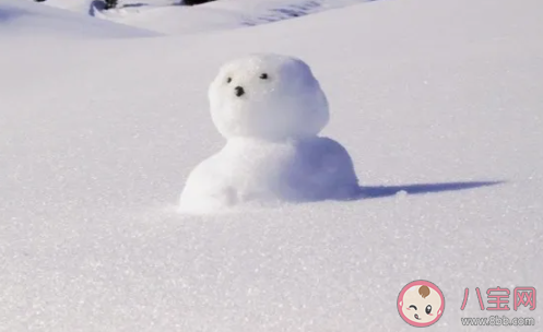 2020打雪仗堆雪人200字作文大全 打雪仗堆雪人作文素材