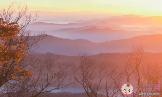 關(guān)于秋風(fēng)寒冷的詩句有哪些 秋風(fēng)秋雨的詩句大全