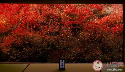 秋風溫柔的說說句子 文藝的秋風句子大全