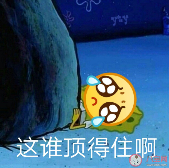 今年是特別難的一年發朋友圈句子 今年是特別難的一年朋友圈說說語錄