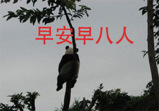 早八人搞笑朋友圈說說語錄 早八人經典幽默句子說說