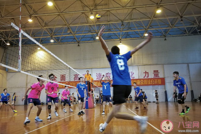 螞蟻莊園排球比賽中男子排球和女子排球的球網(wǎng)一樣高嗎 男女排球球網(wǎng)高度是多少