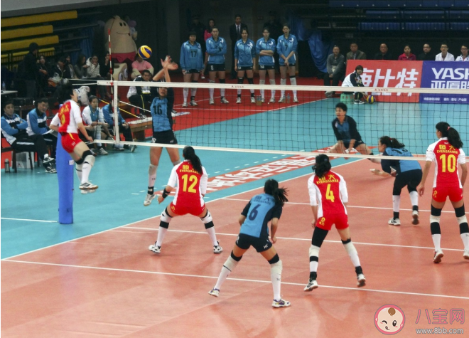 螞蟻莊園排球比賽中男子排球和女子排球的球網(wǎng)一樣高嗎 男女排球球網(wǎng)高度是多少