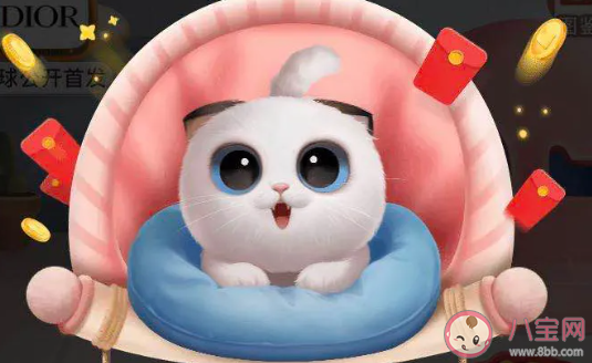 2020淘寶雙十一養貓活動攻略 淘寶養貓怎么得紅包