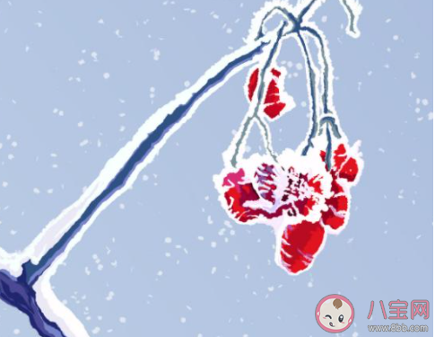 與冬練三九對應的一句俗語是什么 螞蟻莊園小課堂今日10月23日答案 與冬練三九對應的一句俗語是什么 螞蟻莊園小課堂今日10月23日答案