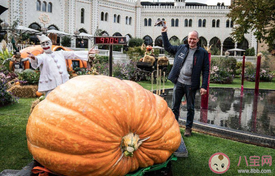 丹麥巨型南瓜970公斤破記錄是真的嗎 巨型南瓜是怎么培育出來(lái)的 丹麥巨型南瓜970公斤破記錄是真的嗎 巨型南瓜是怎么培育出來(lái)的