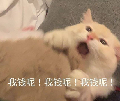 雙十一購物更省錢還是更費錢 雙11真能省到錢嗎 雙十一購物更省錢還是更費錢 雙11真能省到錢嗎