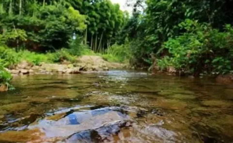 活體螞蟥在5歲男孩體內存留1年多是真的嗎 喝生水有哪些危害