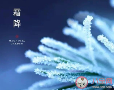 關于霜降的創意文案有哪些 詩意滿滿的霜降文案匯總