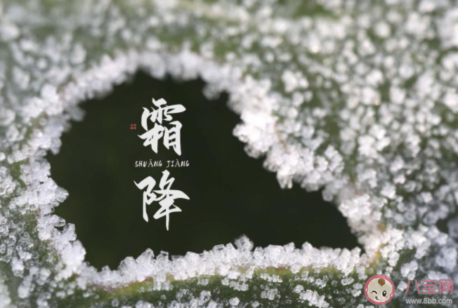 2020最新今日霜降早安朋友圈文案句子 2020今日霜降早安的創意句子說說