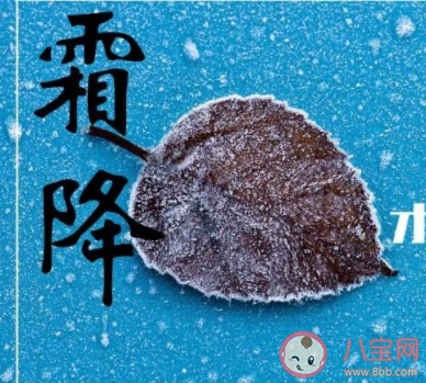 霜降關(guān)于人生感悟的句子 今日霜降心情短語 霜降關(guān)于人生感悟的句子 今日霜降心情短語