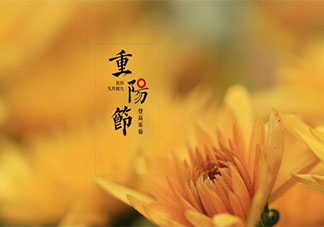 2020重陽節的祝福語簡單句子帶圖 2020重陽節的簡單祝福語圖片說說