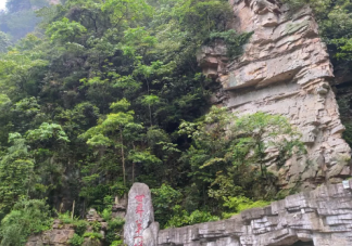 張家界志愿者絕壁撿垃圾是怎么回事 去張家界旅游攻略大全