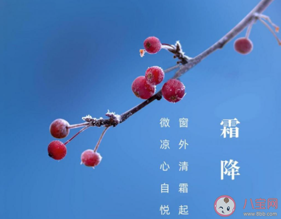 2020霜降的句子短句唯美 2020霜降朋友圈唯美短句