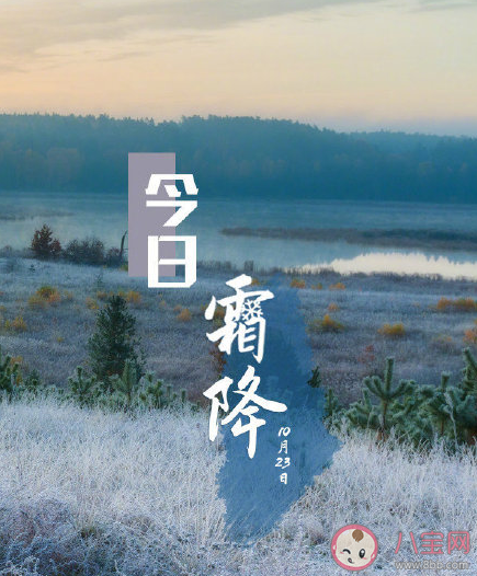 今日霜降注意保暖的暖心話語 霜降注意保暖的朋友圈說說