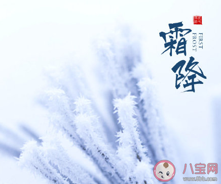 今日霜降注意保暖的暖心話語 霜降注意保暖的朋友圈說說