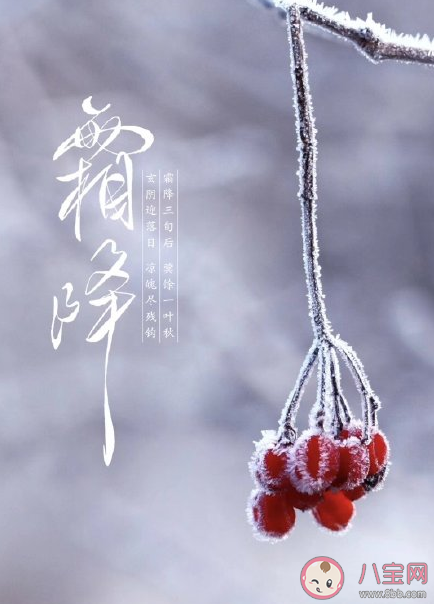 霜降來了注意保暖的說說句子大全 霜降來了注意保暖的朋友圈說說