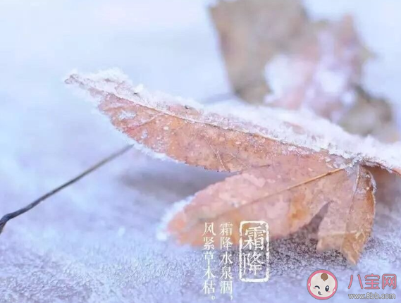 霜降來了注意保暖的說說句子大全 霜降來了注意保暖的朋友圈說說