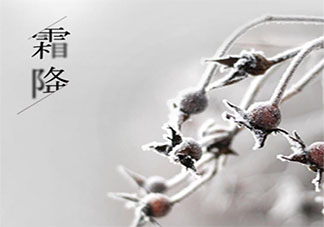 2020霜降的句子短句唯美 2020霜降朋友圈唯美短句