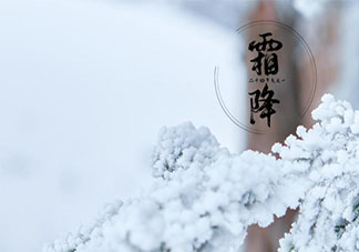 霜降早安的微信置頂文案2020 霜降早上好的經典問候語2020