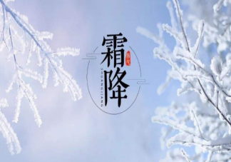今日霜降早安問候語一句話大全 霜降早安朋友圈溫暖祝福語錄