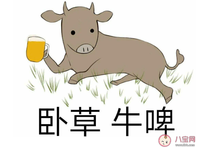 諧音梗到底low不low 有趣搞笑的諧音梗文案合集