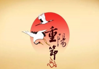 2020重陽(yáng)節(jié)借勢(shì)文案海報(bào)賞析 重陽(yáng)節(jié)創(chuàng)意文案怎么寫