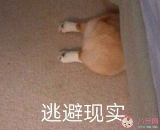 精神狀態不好的幽默搞笑說說 精神不佳發朋友圈文案