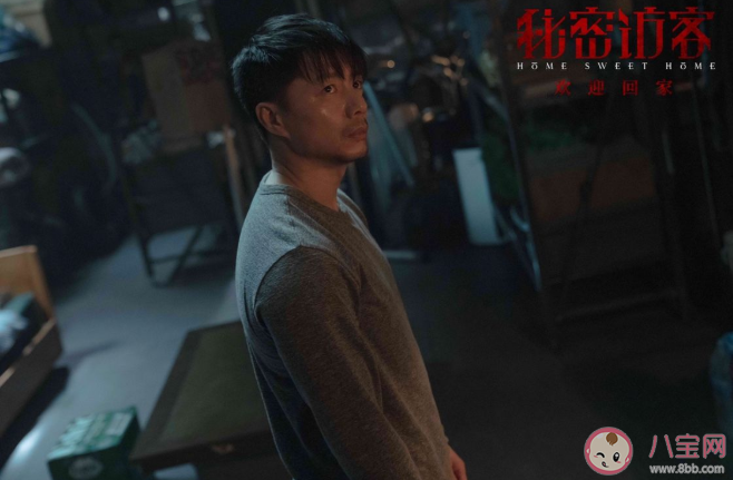 《秘密訪客》講述了什么故事 《秘密訪客》好看嗎