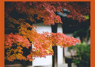 紅葉的句子短句唯美 贊美紅葉的唯美說說句子